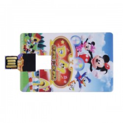 Usb Flash Card RT-UK11