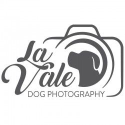 La Vale Dog Photography