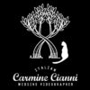 Carmine Cianni Wedding Videographer